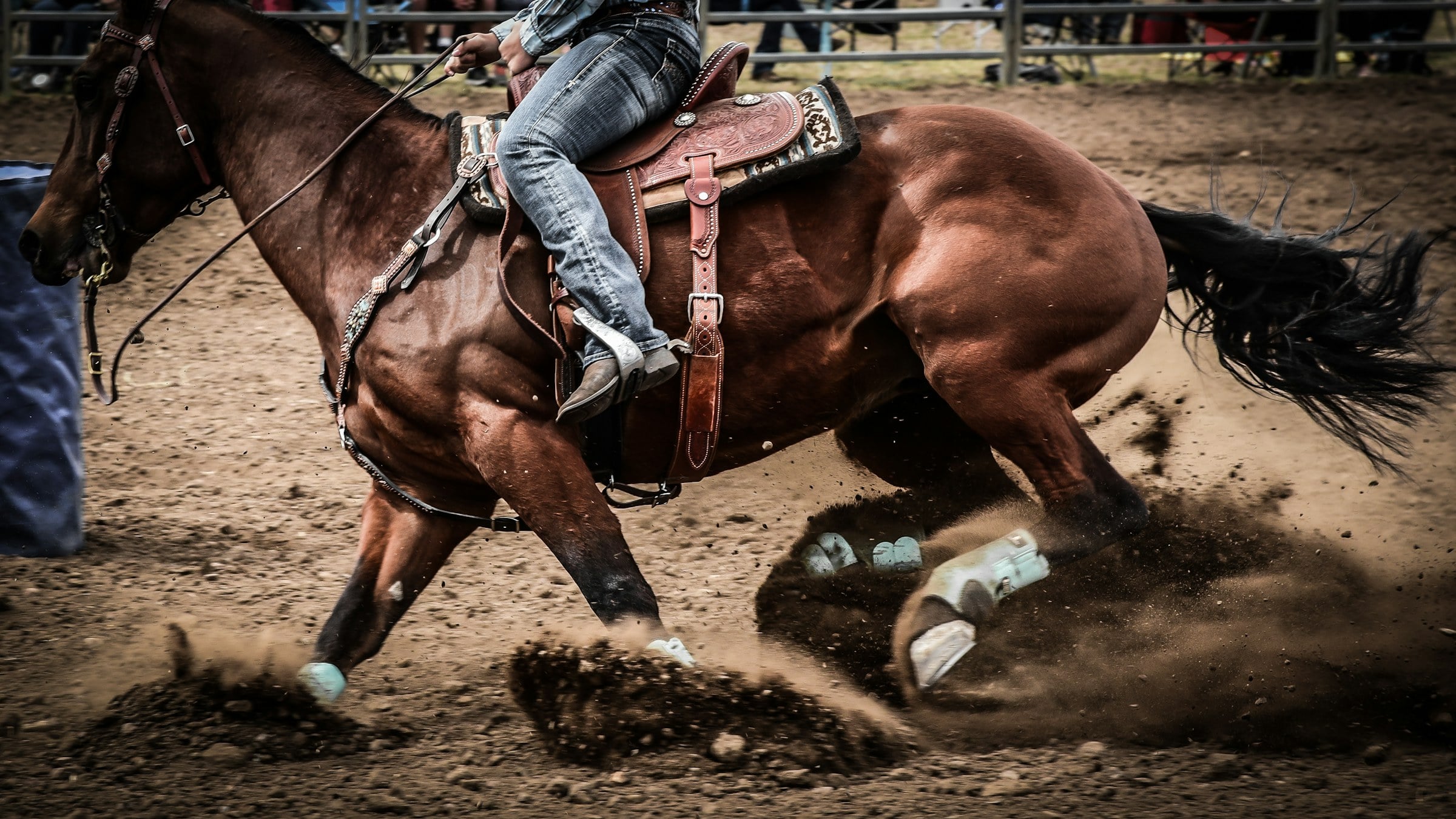 A reining horse in a sliding stop, hind legs buried under him and dirt spraying up behind